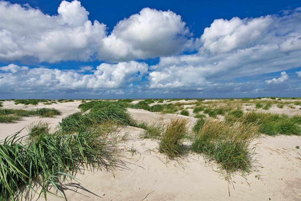 Zeelucht Texel Villa De Koog  Exterior foto