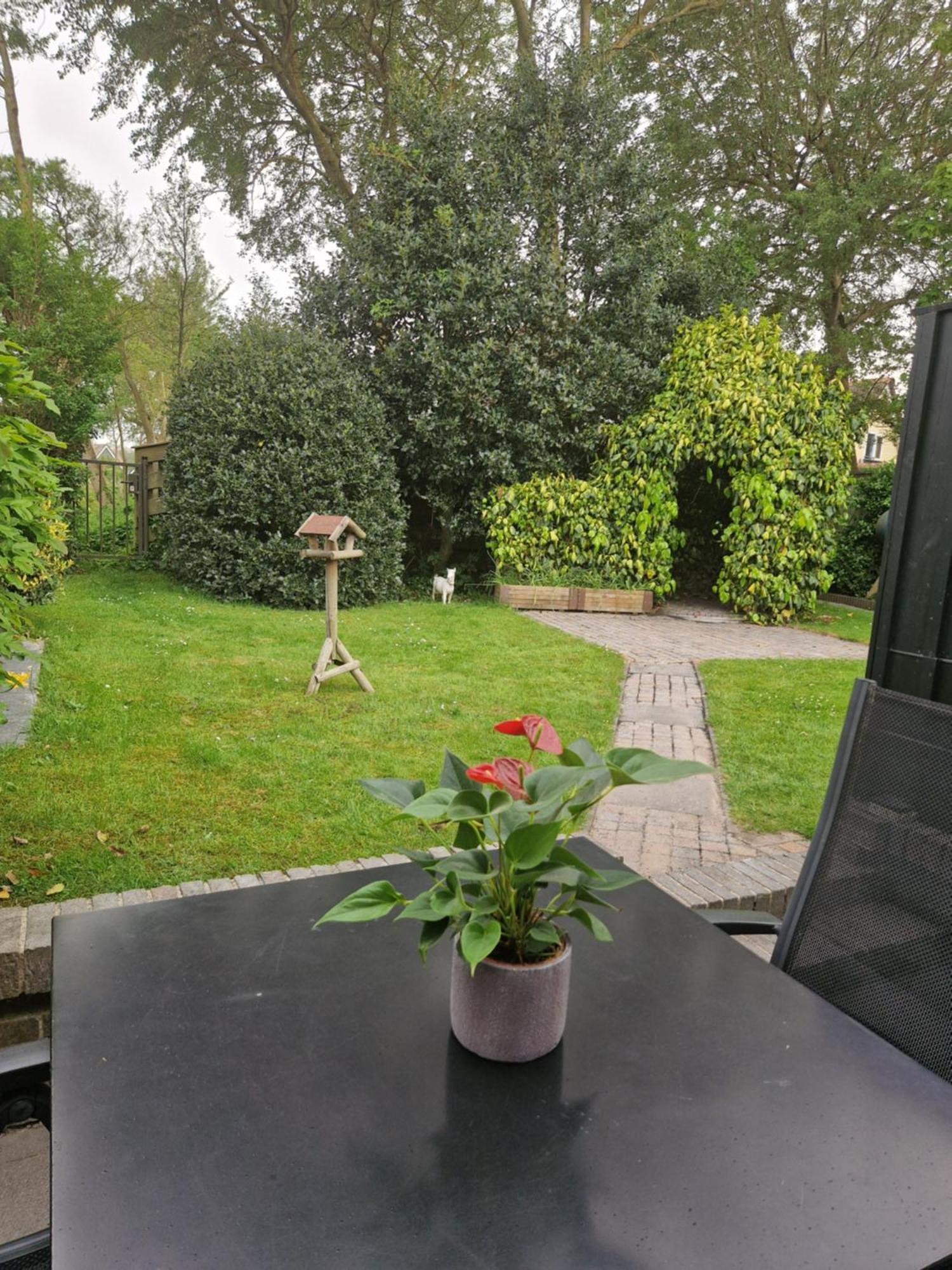Zeelucht Texel Villa De Koog  Exterior foto