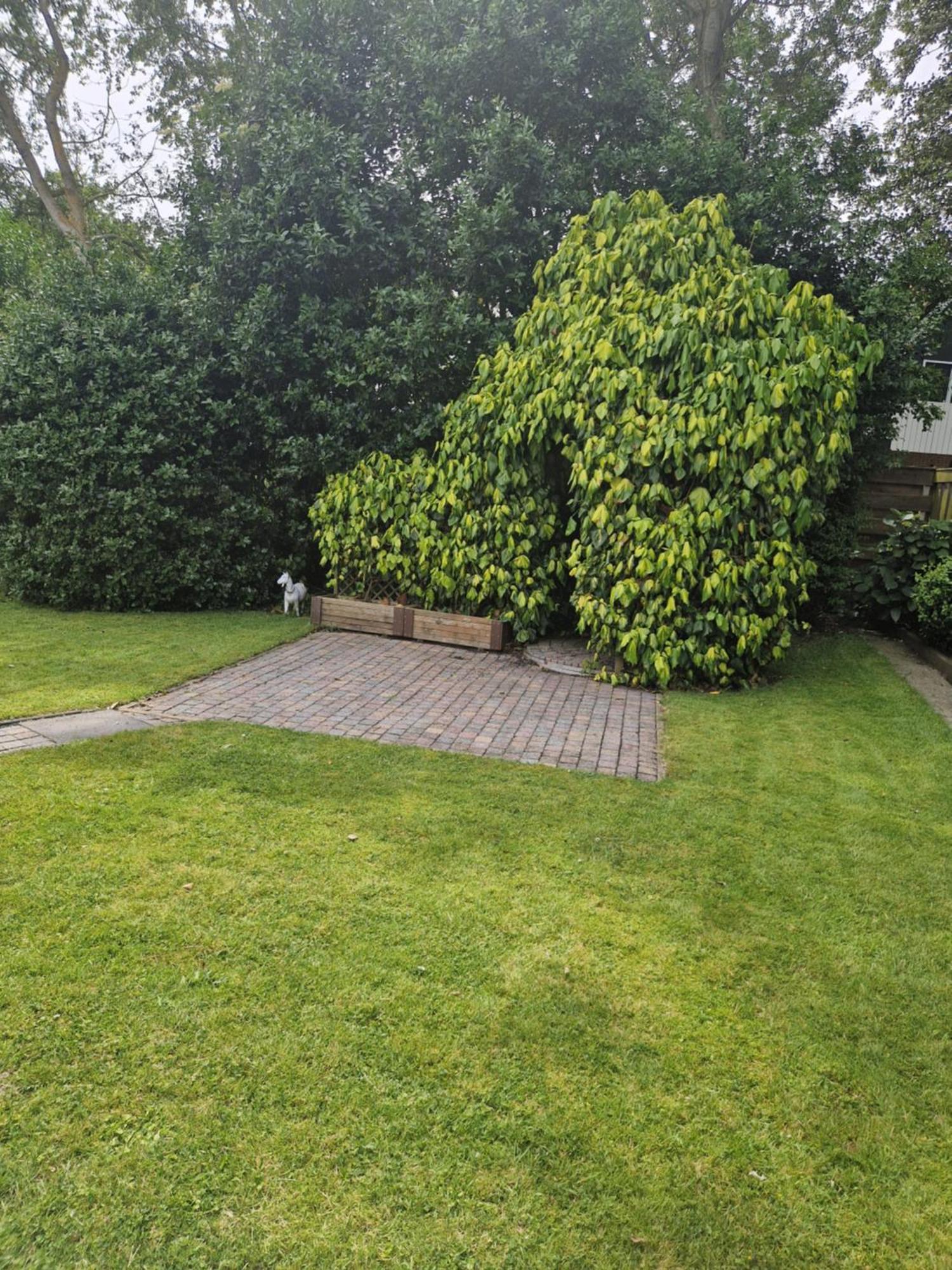 Zeelucht Texel Villa De Koog  Exterior foto